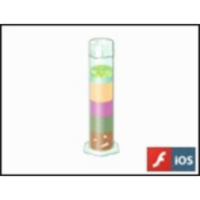 The Winogradsky Column