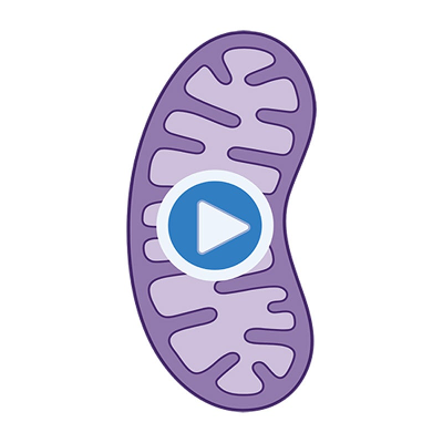 Cellular Respiration Hub icon