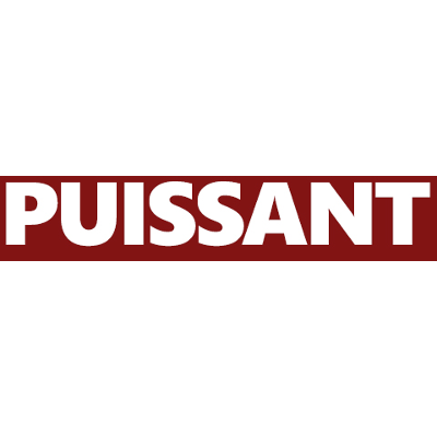 The Citation Recency Bias: Rethinking Temporal Standards in Literature Review Practices							| Puissant icon