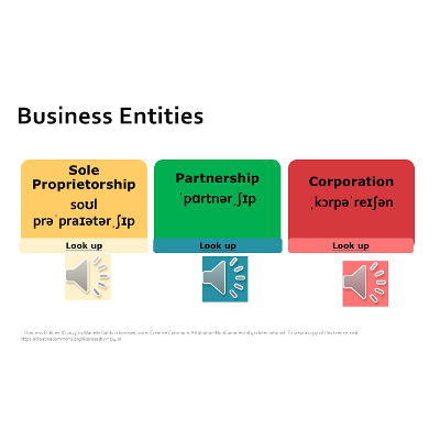 Business Entities Information and Language Support icon