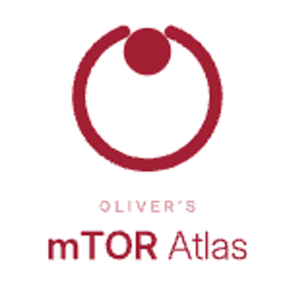 mTOR Academy — Oliver's mTOR Atlas