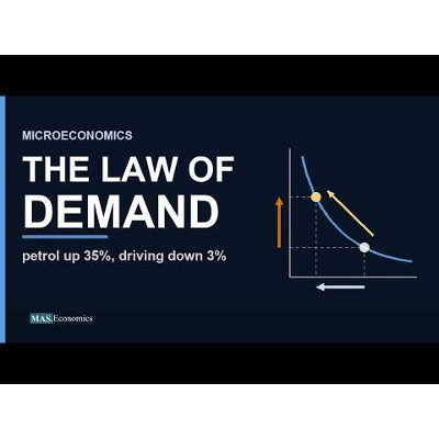 Microeconomics: A Free Video Course Tested on Real Data icon