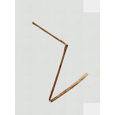 Mosquito Leg Under the Microscope · StudyScope icon