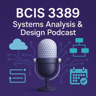 Systems Analysis &amp; Design Skills for Future Business &amp; IT Leaders | BCIS 3389 | Systems Analysis &amp; Design