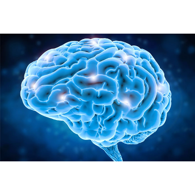 PsyPost - Psychology News
