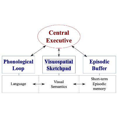 Memory Models and Working Memory Slides icon