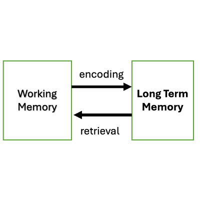 Memory Acquisition and Encoding Slides icon