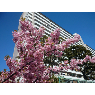 A Practical Framework for Extending the Life of Ageing Housing Complexes