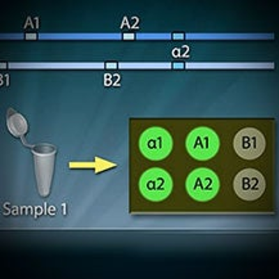 Virochip DNA Microarray