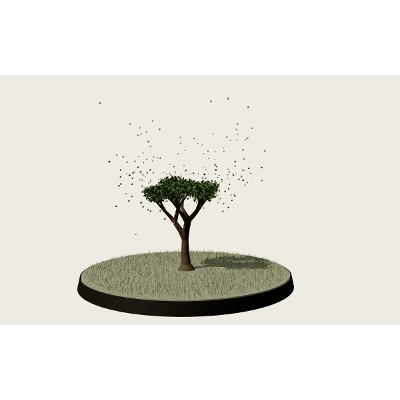 The Breathing Planet: photosynthesis and the yearly carbon dioxide cycle, interactive