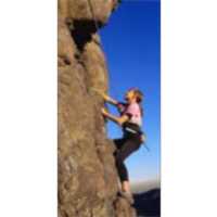 Starting Point: Teaching with Models