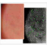 Top Ten FBI/AFIS Rejects Codes