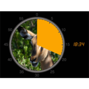 Visual Timer HD App for iPad icon