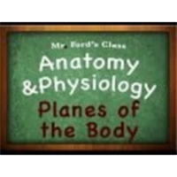 Introduction Anatomy Physiology (01:08): Planes of the Body icon