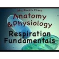 Cellular Metabolism For Anatomy and Physiology : Respiration Fundamentals (04:02) icon
