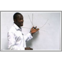 Probability and Mathematical Needs icon