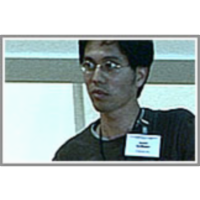 Population-based adaptive Systems: An Implementation in NEW TIES icon