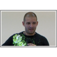 Using Semantic and Domain-based Information in CLIR Systems