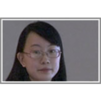 Migration Motif: A Spatial-Temporal Pattern Mining Approach for Financial Markets icon