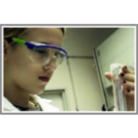 Šola nore kemije 2006