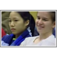 Lecture 5: E = -grad V, More on Equipotential Surfaces, Conductors, Electrostatic Shielding (Faraday Cage) icon