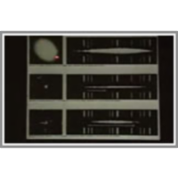 Lecture 35: Doppler Effect, The Big Bang, Cosmology icon