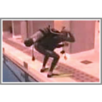 Entry: Backward roll icon