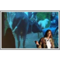 The International Development Fair: The Human Factor at Work in the World