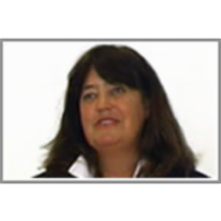 The Norwegian experience icon