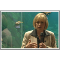 Pregled uporabe kamna v umetnosti na Slovenskem icon