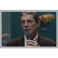 Astronomija v arhitekturi in urbanizmu majevske metropole Tikal icon