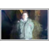 Igla v kopici sena icon