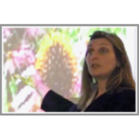 Machine Learning and Knowledge Discovery for Semantic Web icon