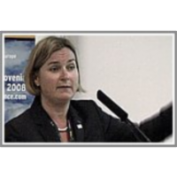 Arena – a public-private approach for development of a road user charging icon