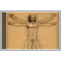 Znanost in umetnost icon