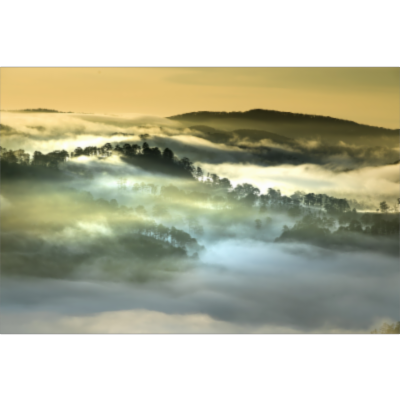 travelindia planet