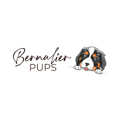 bernalier pups