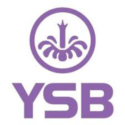ysb66 site