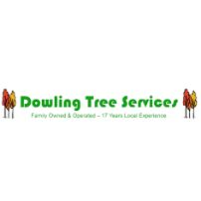 Llewyn Dowling