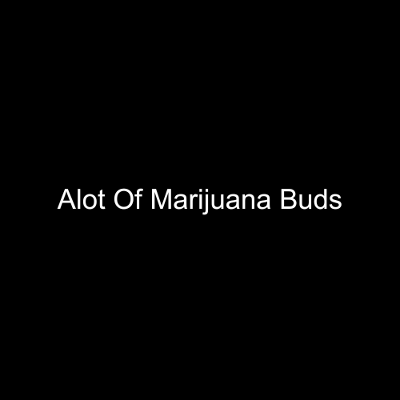 Alot Of Marijuana Buds