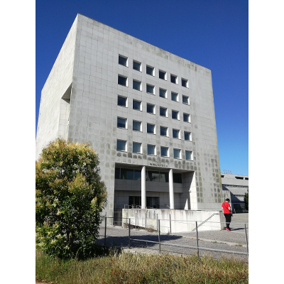 Teresa Oliveira Ramos